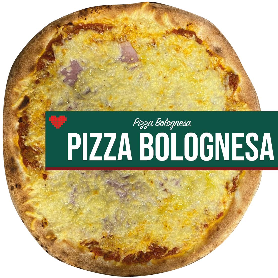 Bolognesa